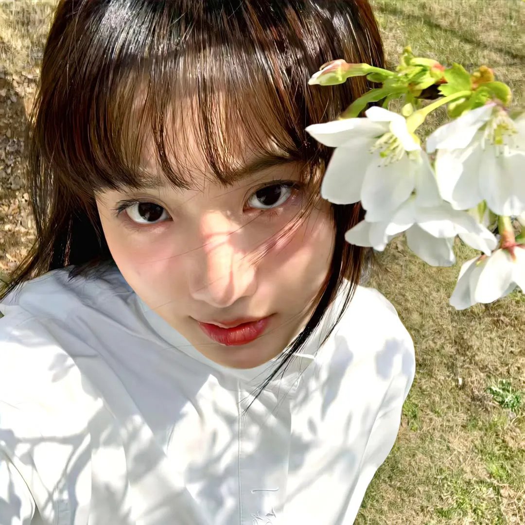 爱情有什么道理